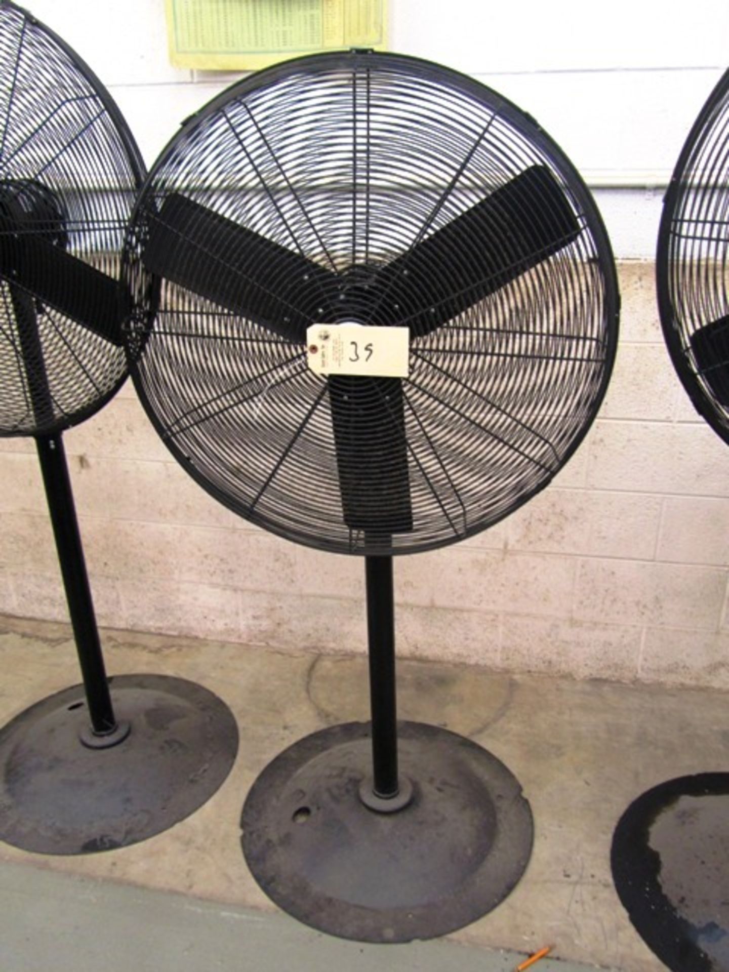 Pedestal Fan