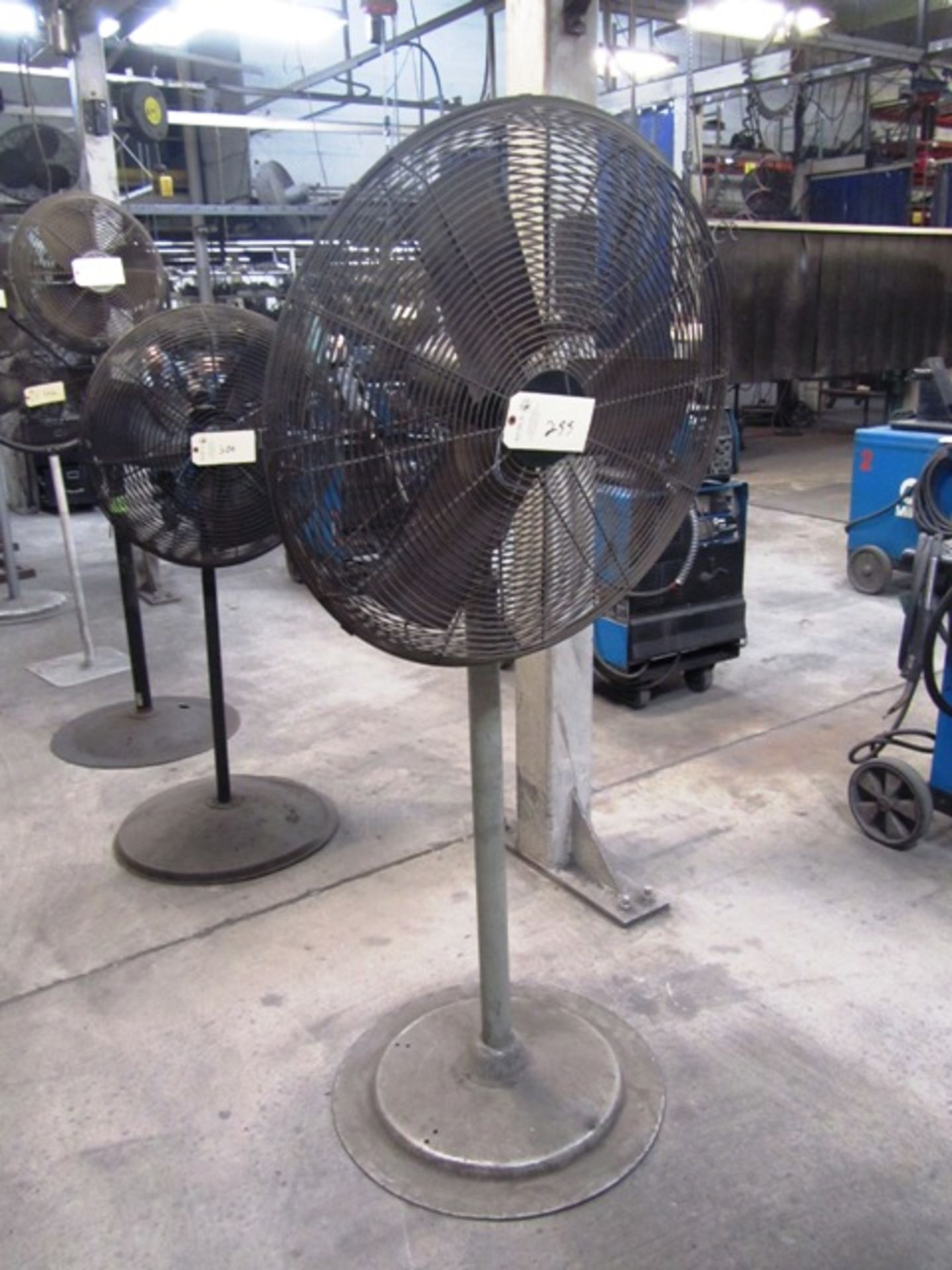 Pedestal Fan