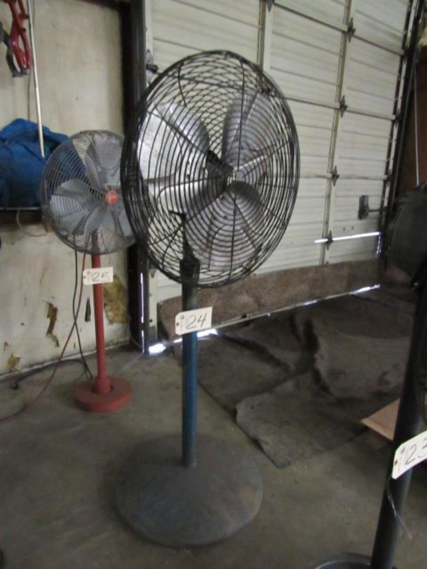 Shop Fan