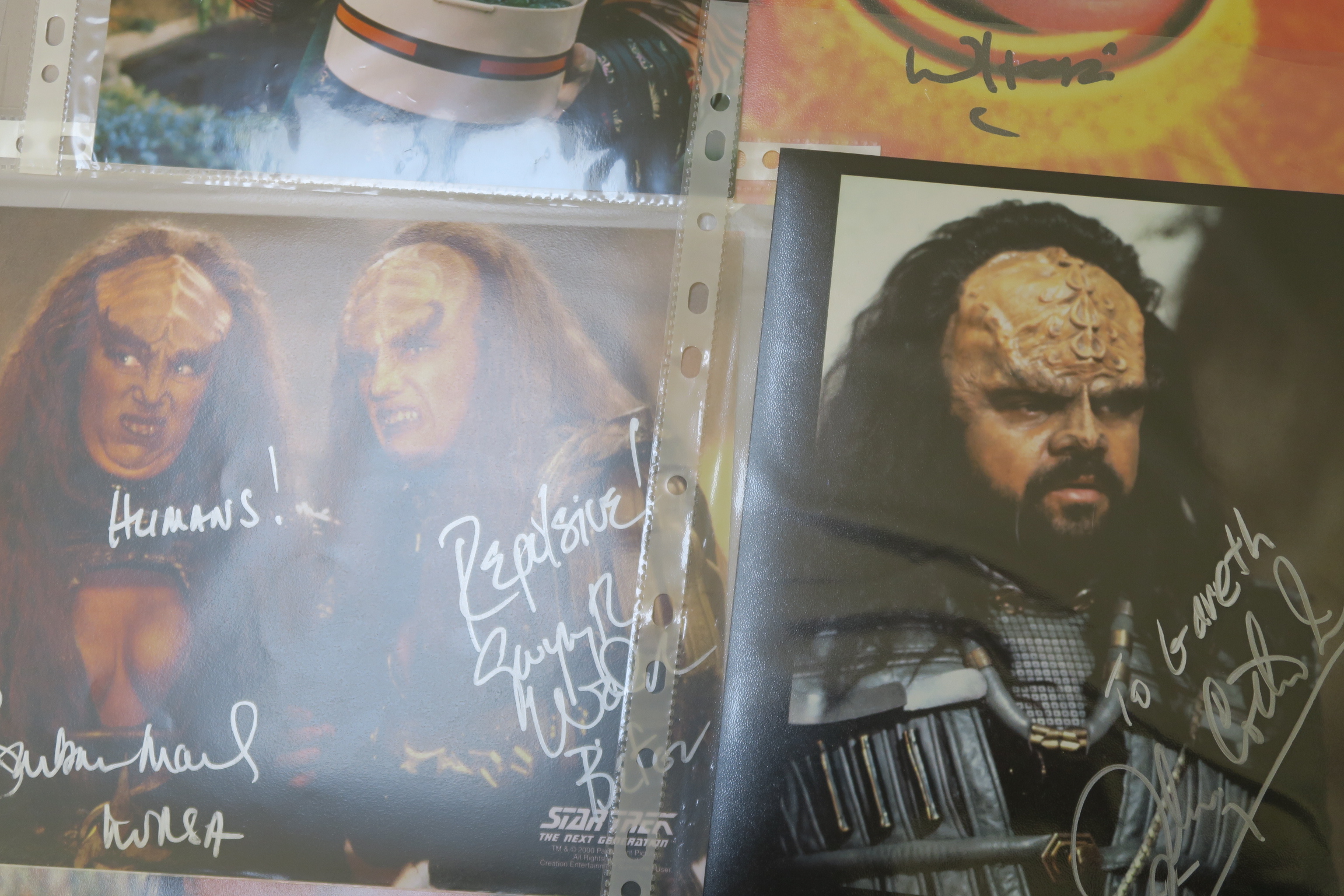 A collection of Star Trek photographs most of which are signed by the stars the collector attended - Image 7 of 16