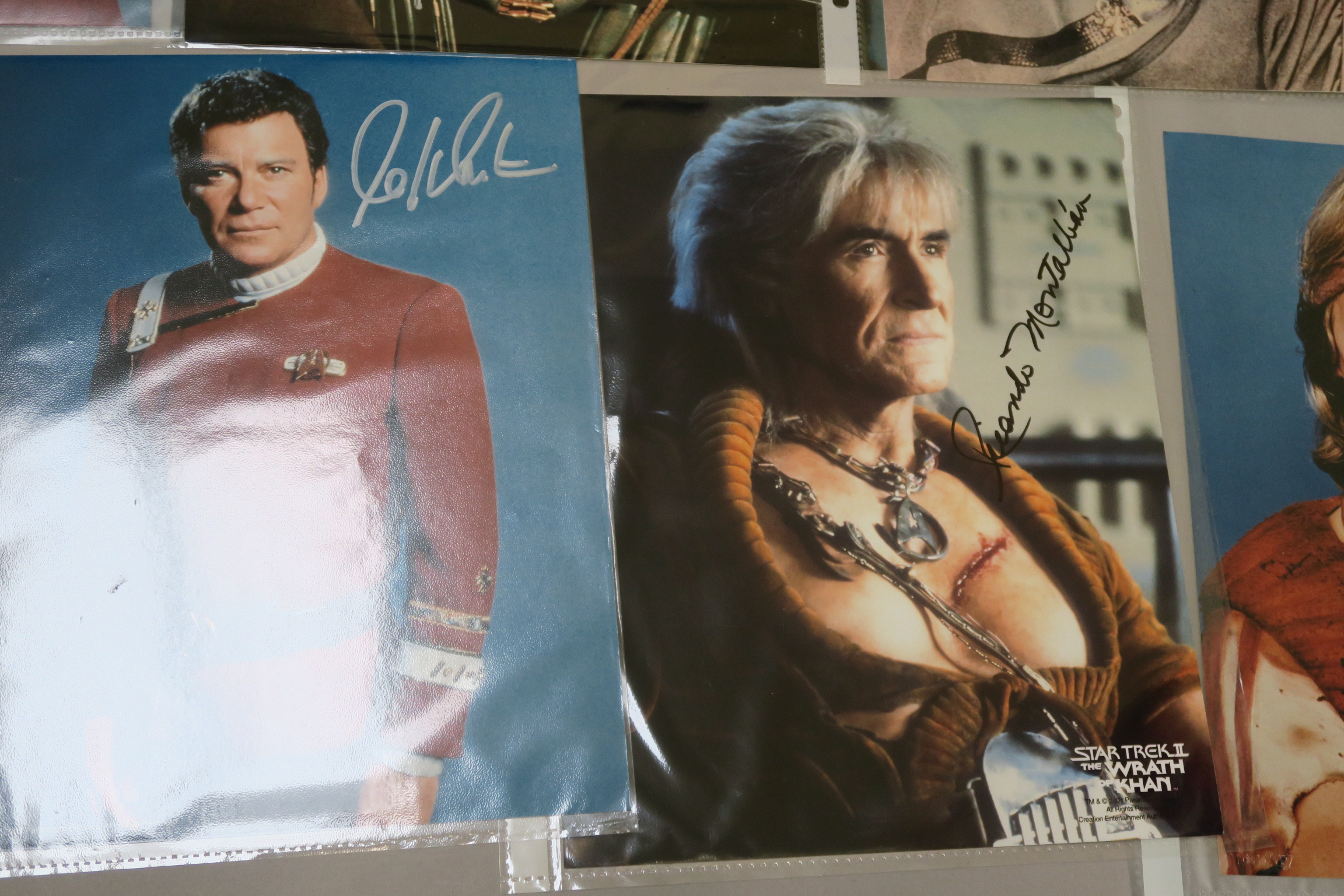 A collection of Star Trek photographs most of which are signed by the stars the collector attended - Image 14 of 16