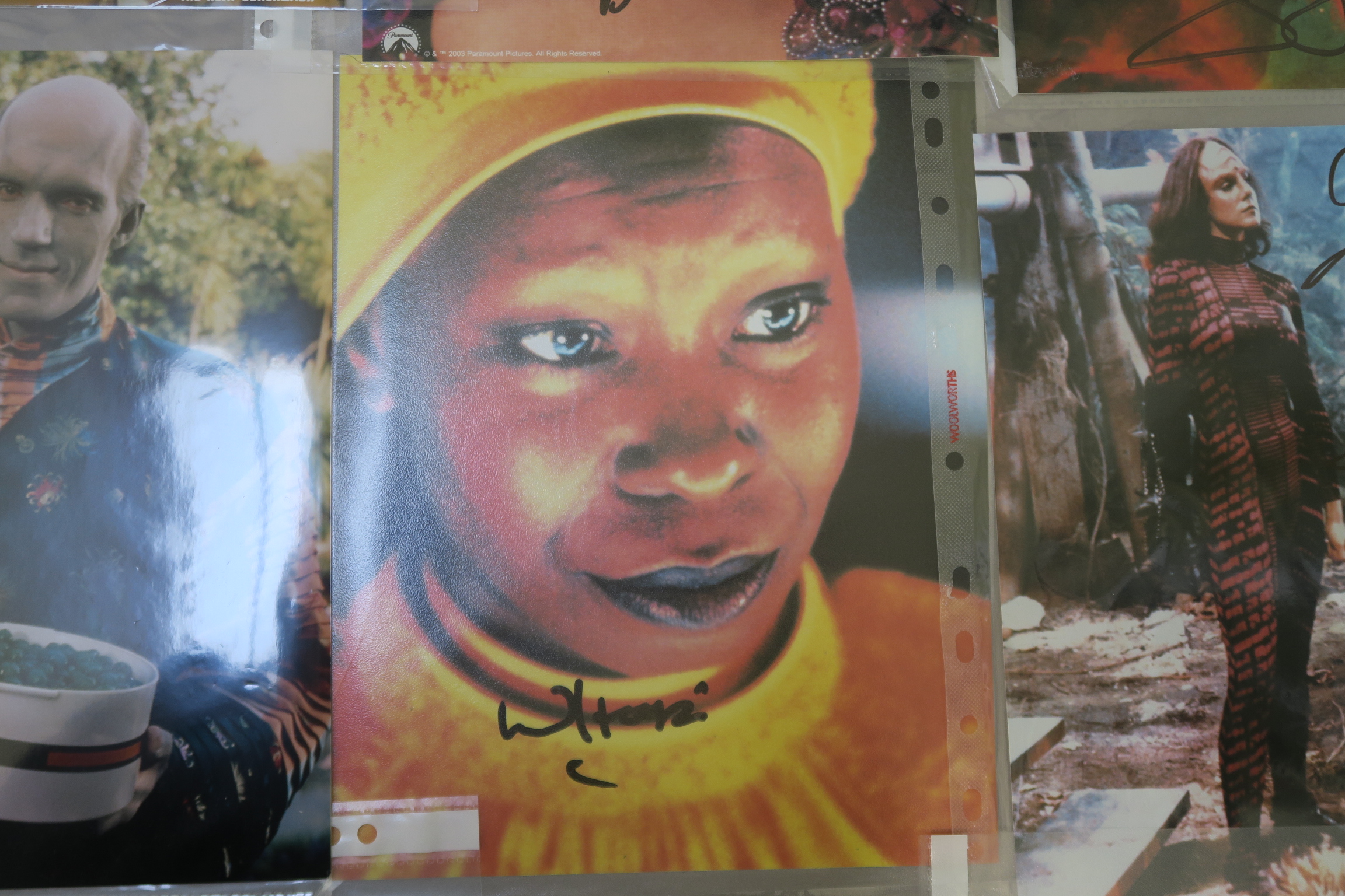 A collection of Star Trek photographs most of which are signed by the stars the collector attended - Image 10 of 16