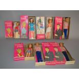 EX-SHOP STOCK: Seven Ideal Tammy and Tammy's Family Fashion Dolls, includes 2 x Tammy,