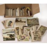 A Good, Mixed Selection of GB & World-Wide Postcards, Victorian & Edwardian to Modern.