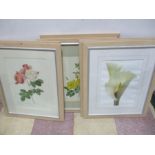 A set of 7 beech framed Botanical prints