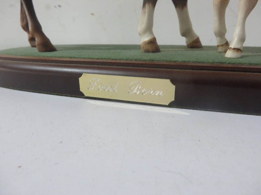 Four Beswick horses - 'First Born' on stand, 'Spirit of Wisdom' on stand, Piebald and a Bay - Image 5 of 17