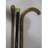 A Victorian ivory topped cane along with two other walking sticks