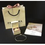 A Pandora bracelet - no charms.