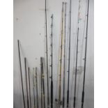 A collection of various fishing rods including Penn, Shakespear etc