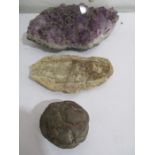 A fossil of a fish along with an amethyst crystal and one other