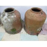 A pair of terracotta rhubarb forcers, slight hairline crack to each, but seem sound