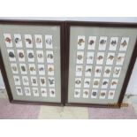 Two framed collections of Players cigarette cards of dogs
