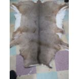 A deer skin rug