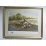 A David Shepherd signed Ltd edition print "Savuti Sands