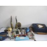 A collection of various items including cow horns, lace makers wheel, vintage tins, paperweight,