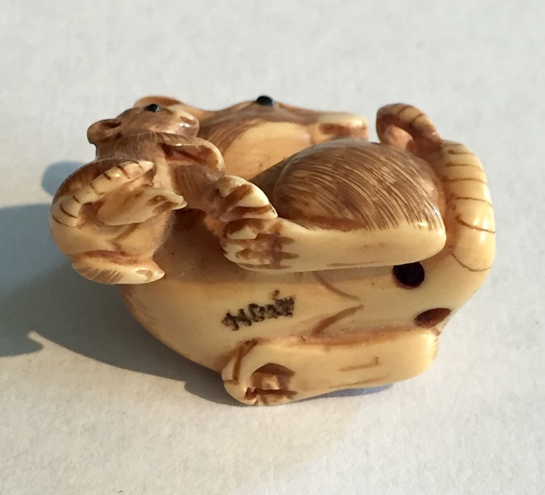 A 19th Century ivory Netsuke of a rat with its baby, signature to underside - Image 5 of 6