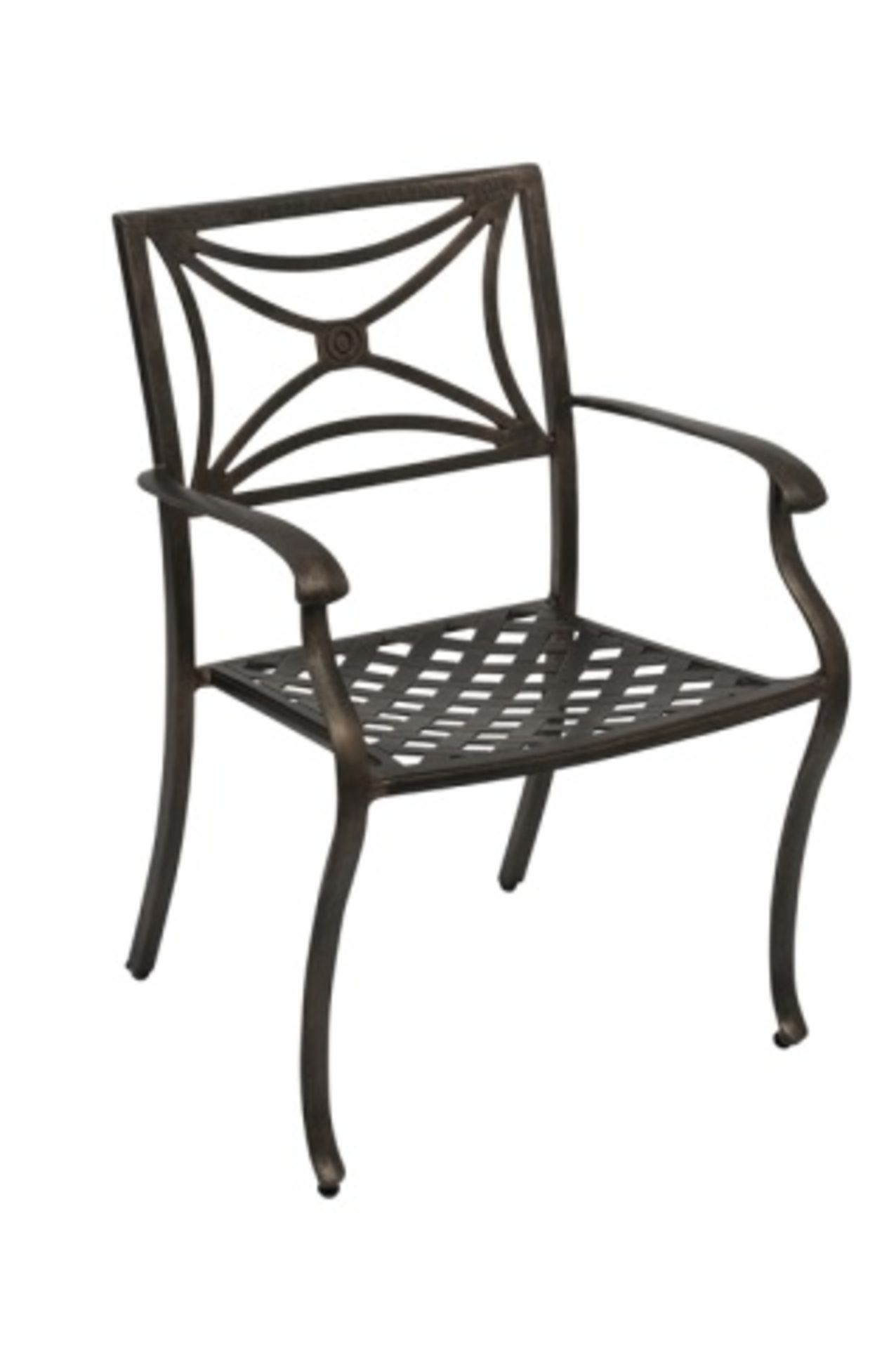 Cast Aluminum Weave Arm Chair - Director HS03. Cast aluminum Frame, Welded, Antique Bronze powder