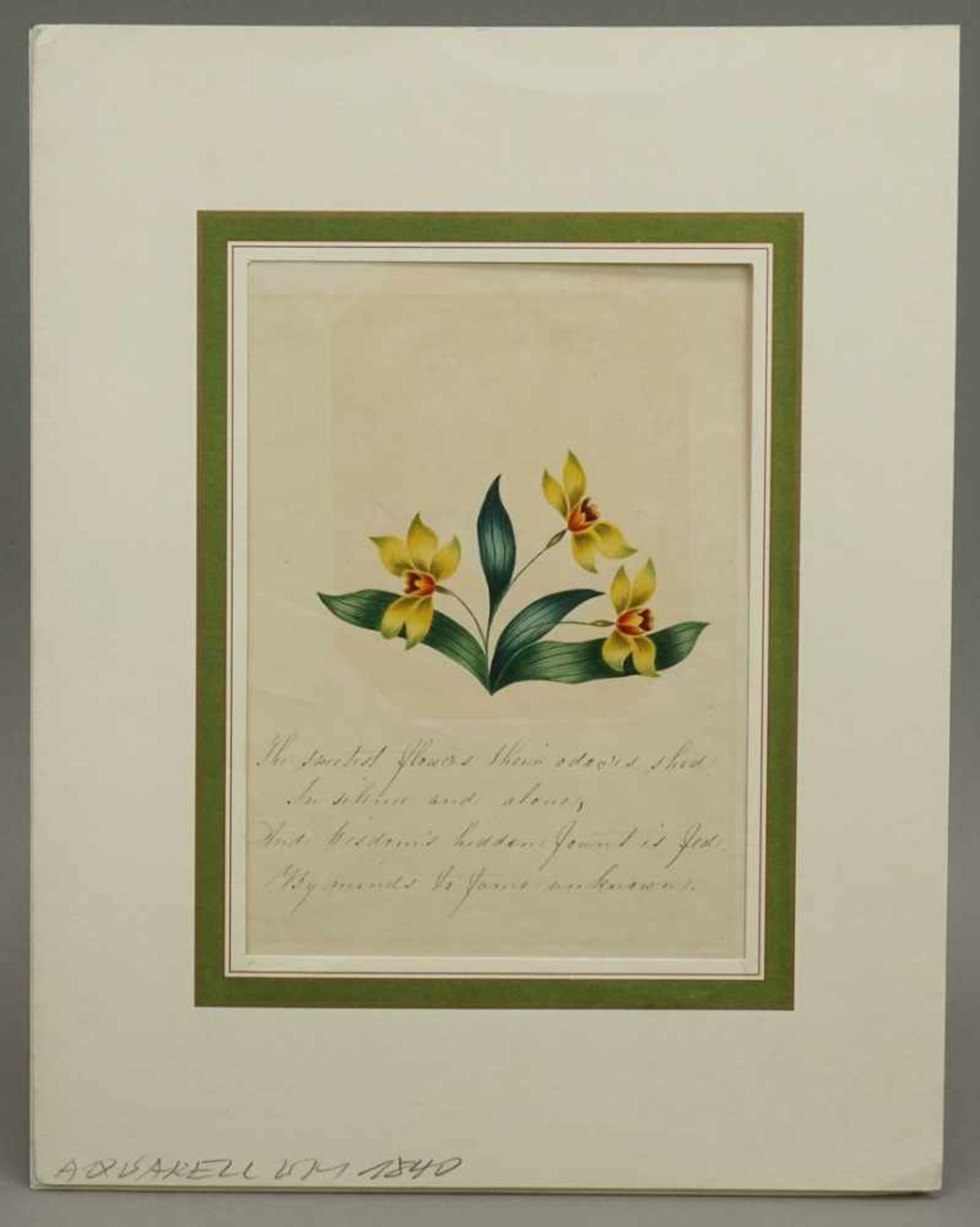 Unbekannter Künstler, "Blumen"Aquarell/Papier, um 1840, mit handschriftlichem Gedicht in englisch, - Bild 2 aus 3