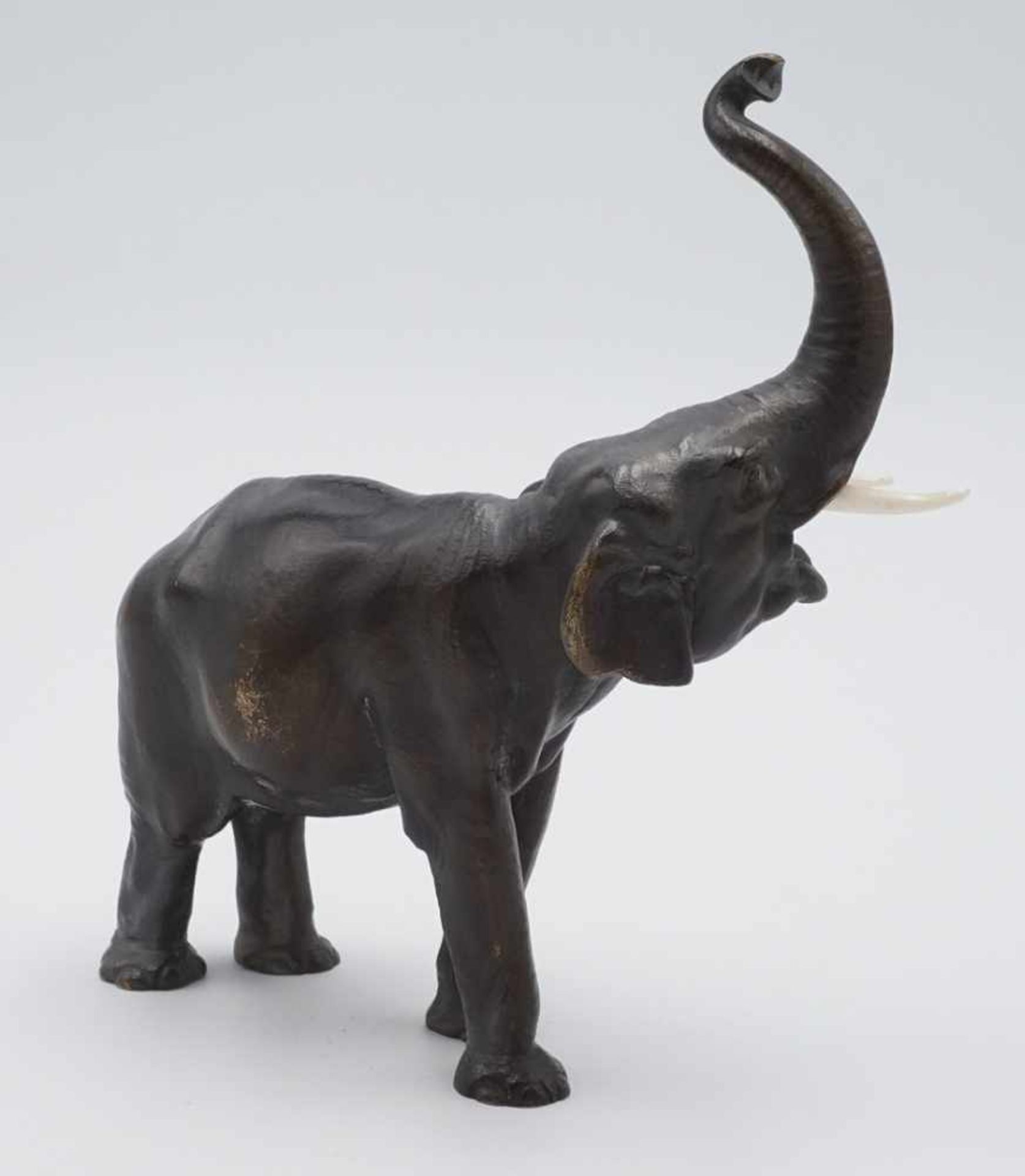 Elefant mit erhobenem Rüssel, um 1930Messing bronziert, sehr detaillierter Guss, Stoßzähne aus - Image 2 of 3