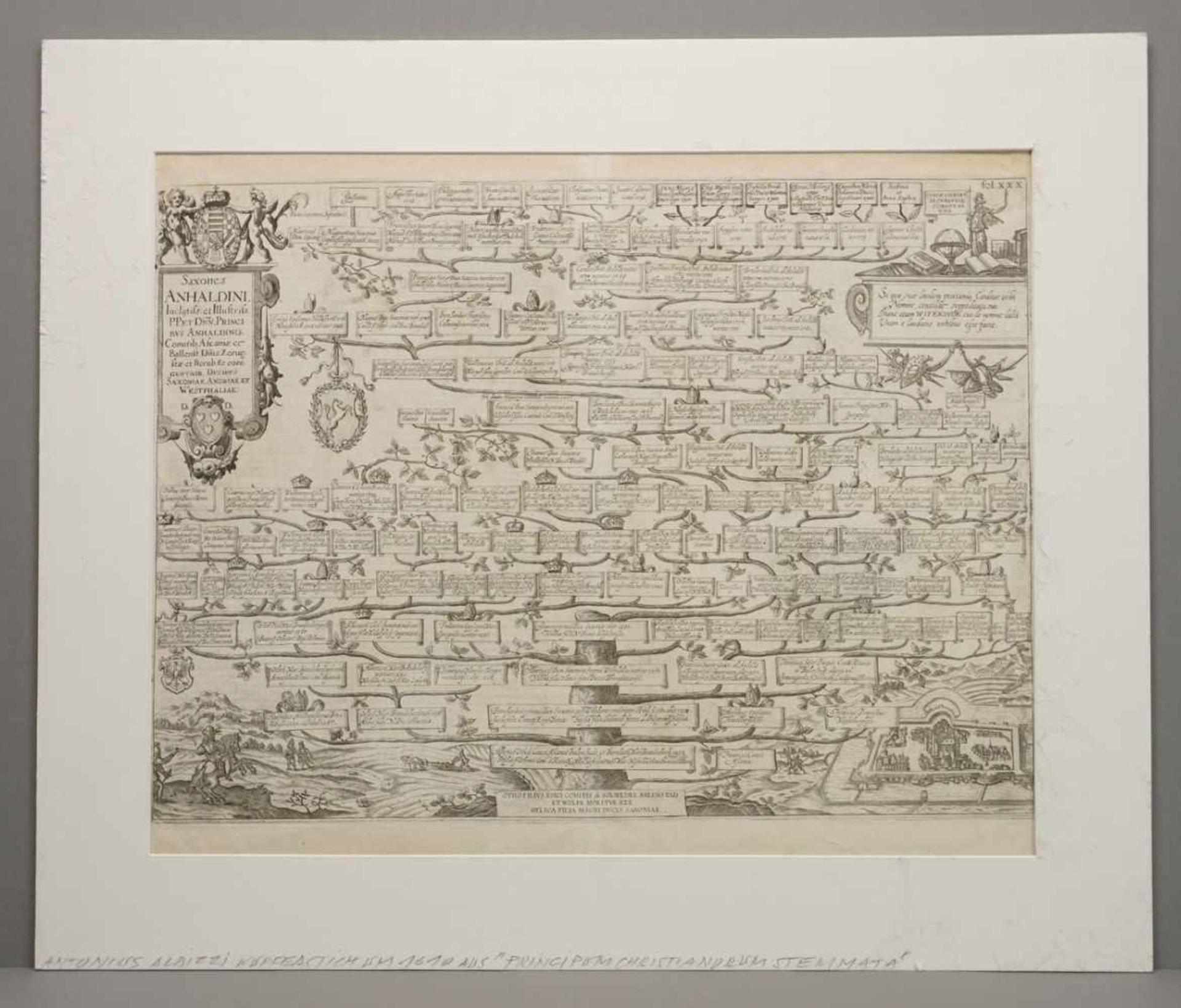 Antonius Albizzi, "Stammbaum der Anhaltiner"Folio-Kupferstich/Büttenpapier, Verso Textauszug, aus " - Bild 2 aus 3