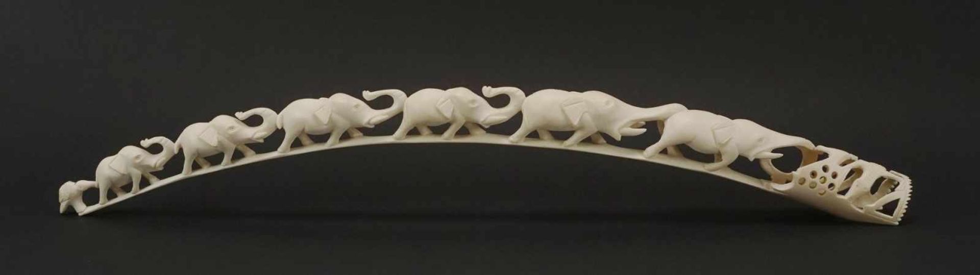 Elfenbeinzahn beschnitzt mit sechs Elefanten, Afrika, um 1920Elfenbein, sechs vollplastische,