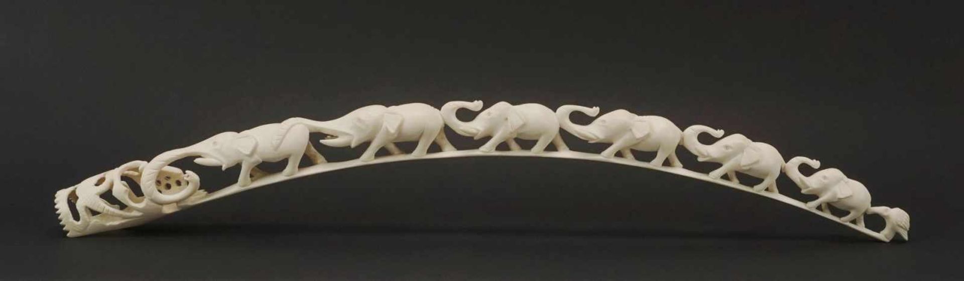 Elfenbeinzahn beschnitzt mit sechs Elefanten, Afrika, um 1920Elfenbein, sechs vollplastische, - Image 2 of 4