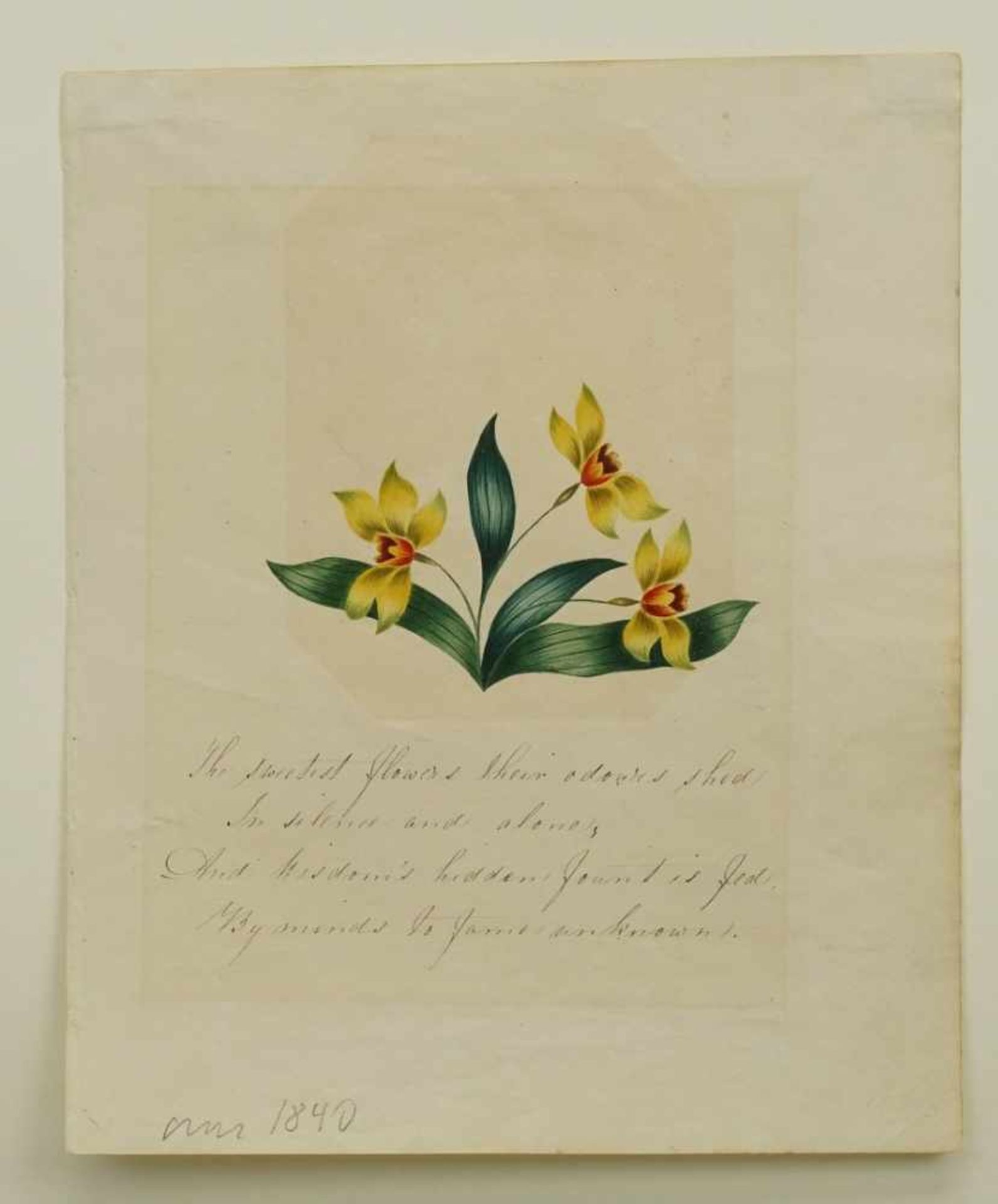 Unbekannter Künstler, "Blumen"Aquarell/Papier, um 1840, mit handschriftlichem Gedicht in englisch, - Bild 3 aus 3