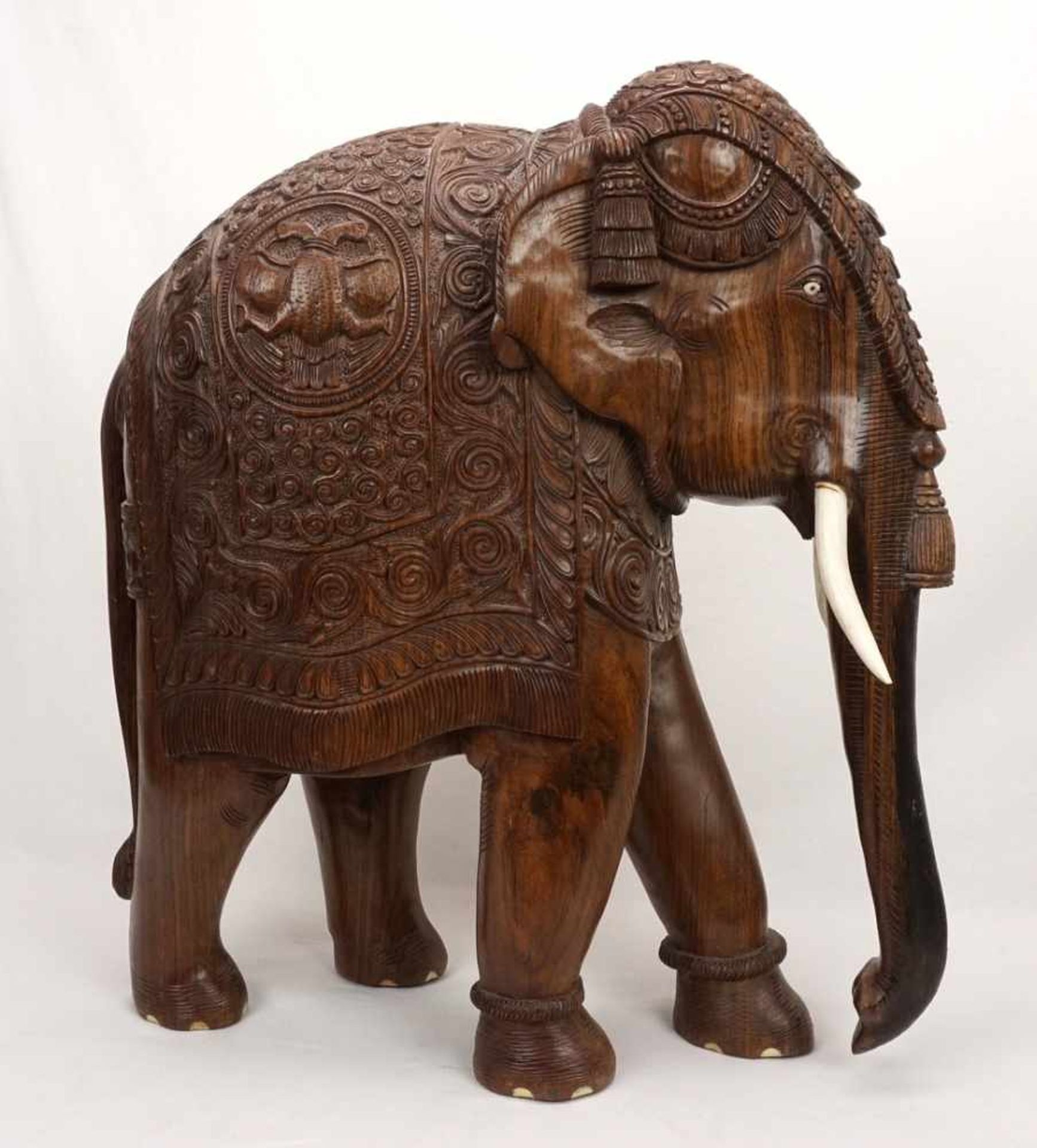 Großer Elefant, Indien, 20. Jh.Palisander, prächtig ausgeschmückter Elefant mit Stoßzähnen aus Bein,