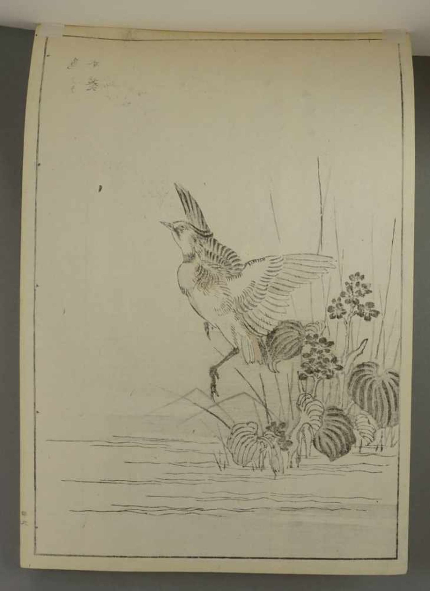 Kono Bairei, "Auffliegender Vogel", Japan(1844 - 1895), Farbholzschnitt/Papier, um 1880/90, oben - Bild 5 aus 5