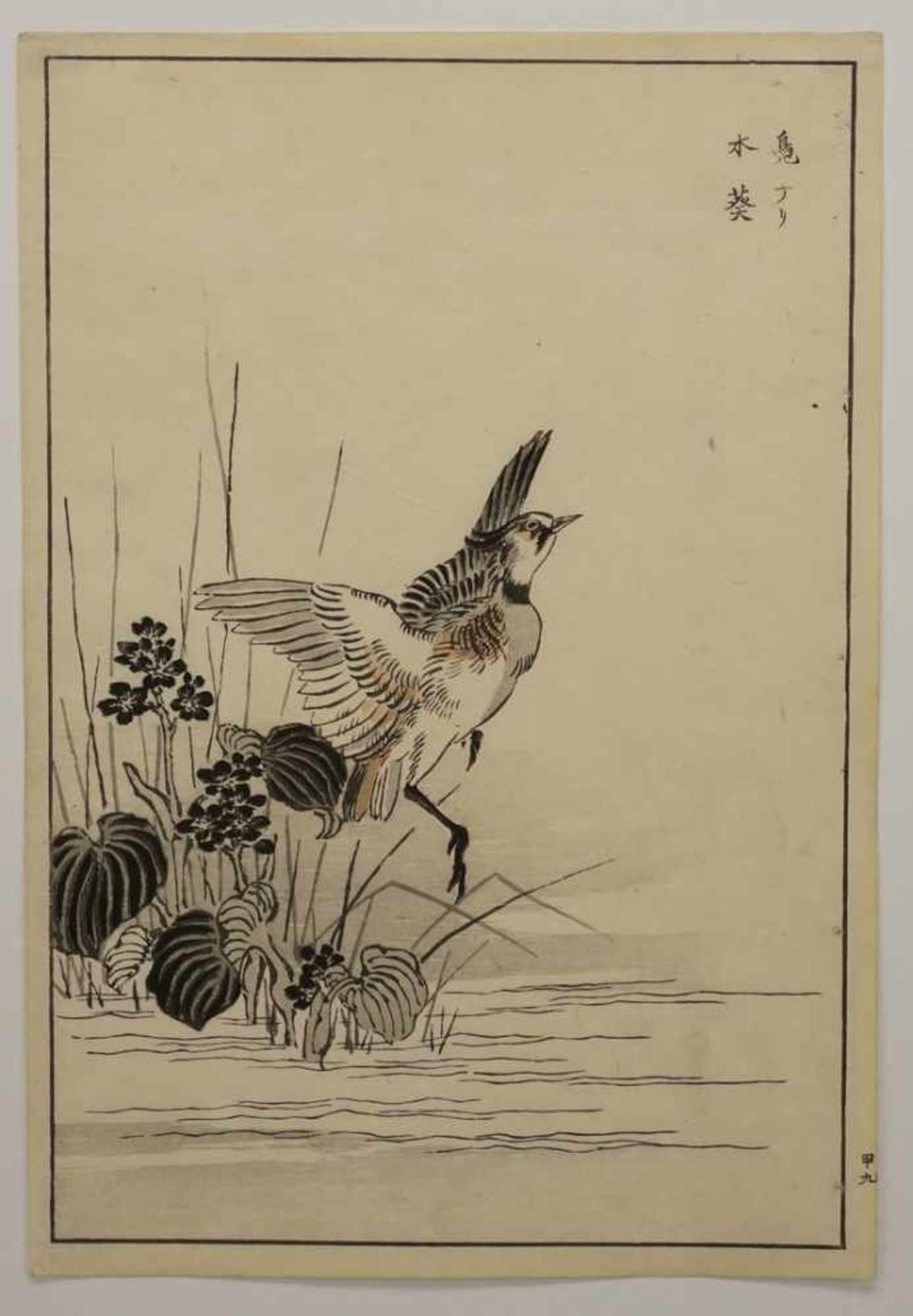 Kono Bairei, "Auffliegender Vogel", Japan(1844 - 1895), Farbholzschnitt/Papier, um 1880/90, oben - Bild 3 aus 5