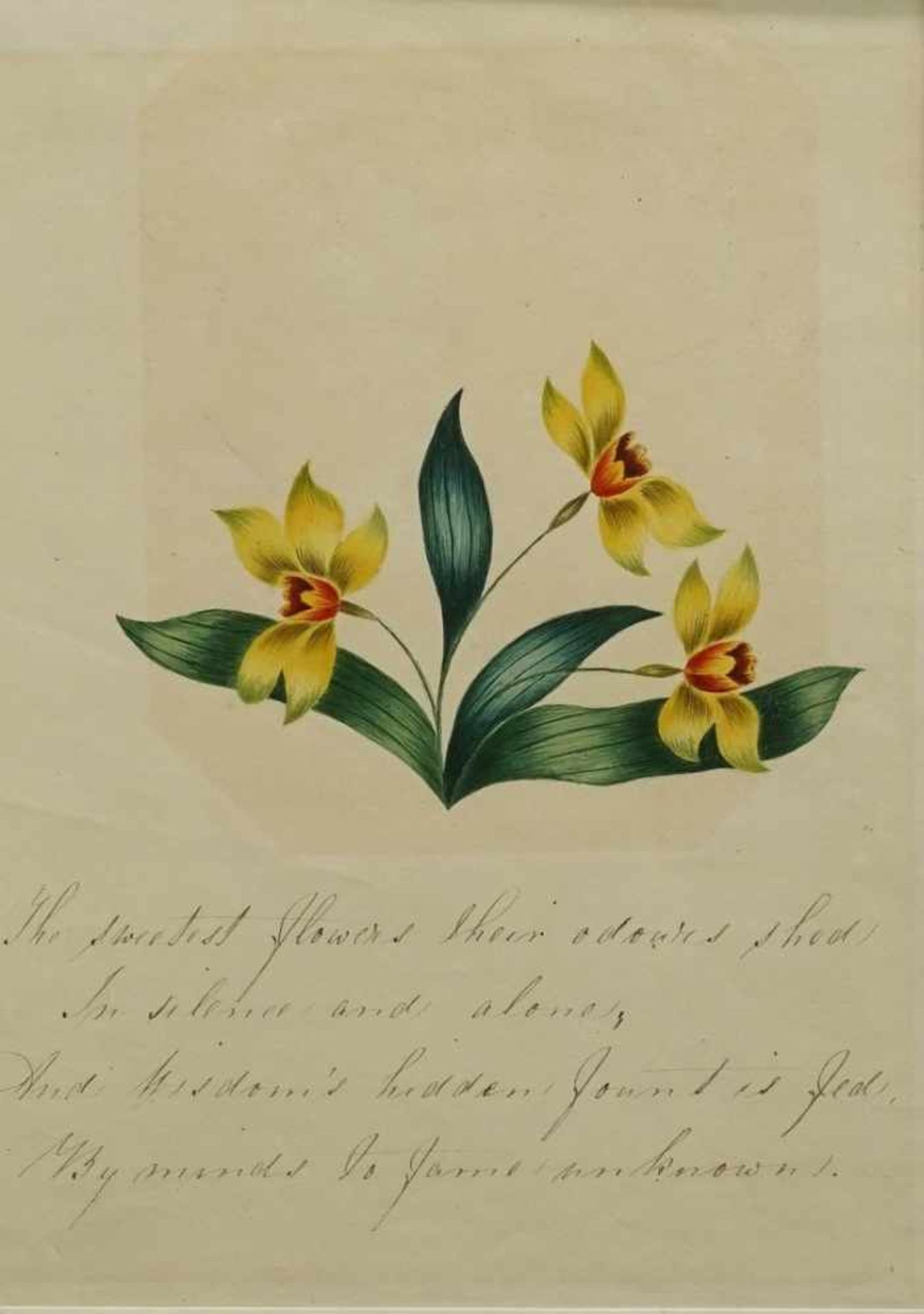 Unbekannter Künstler, "Blumen"Aquarell/Papier, um 1840, mit handschriftlichem Gedicht in englisch,