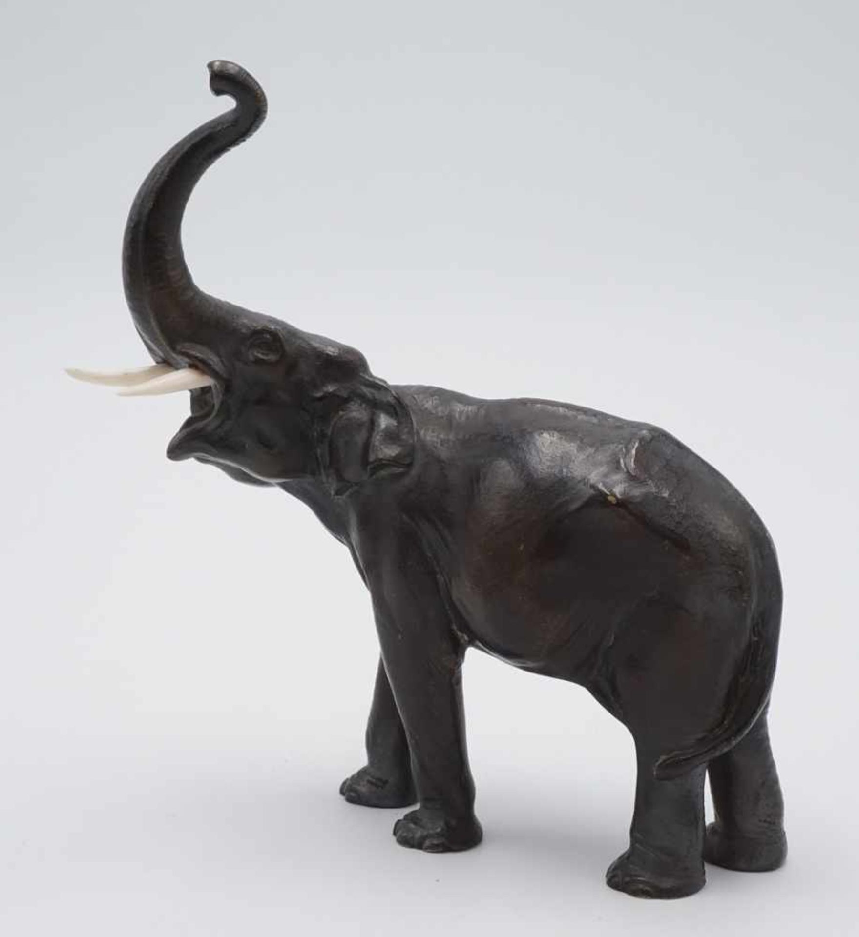 Elefant mit erhobenem Rüssel, um 1930Messing bronziert, sehr detaillierter Guss, Stoßzähne aus