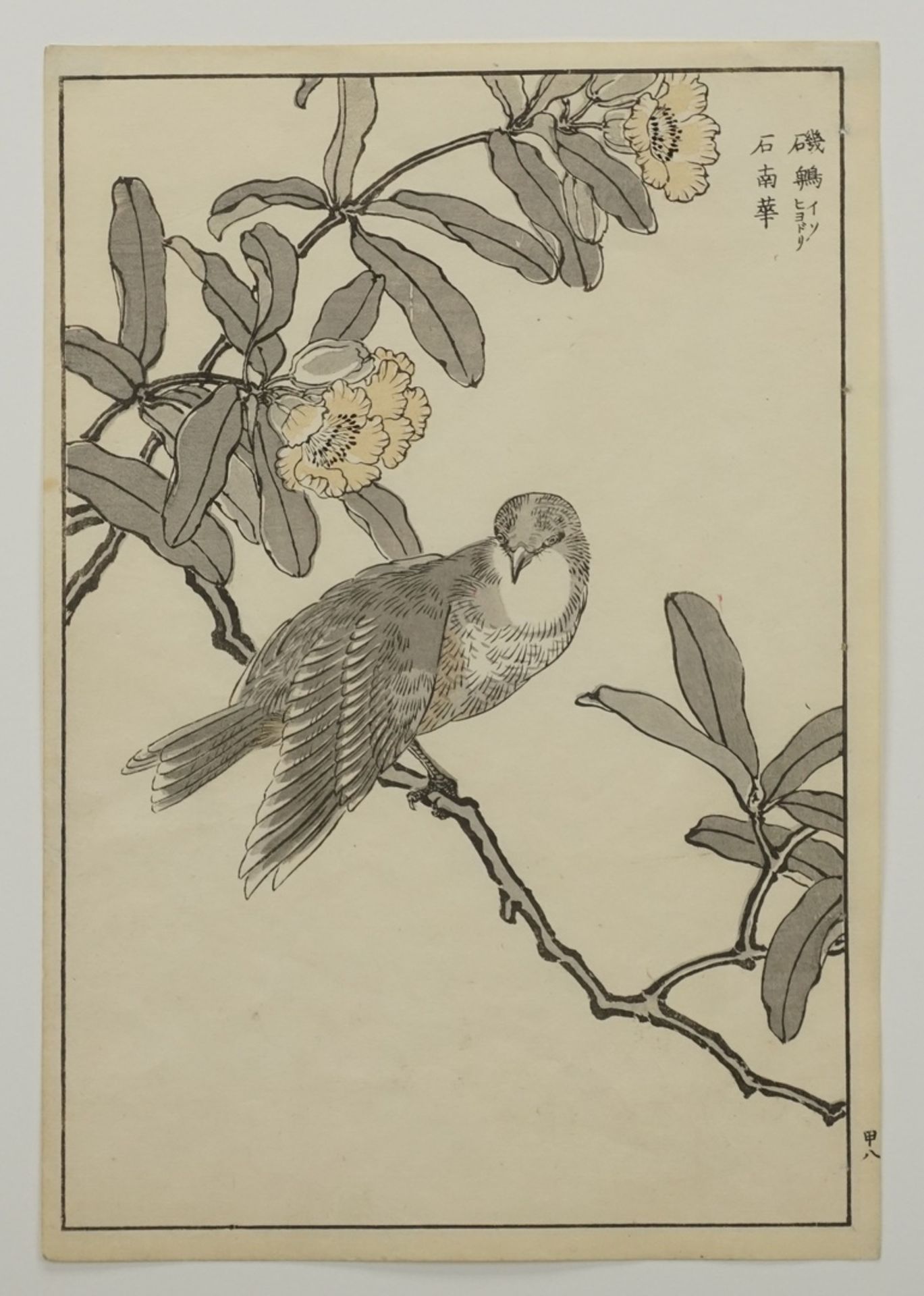 Kono Naotoyo Bairei, Taube auf Ast, Japan, um 1880(1844 - 1895), Farbholzschnitt auf Papier, oben - Image 3 of 3