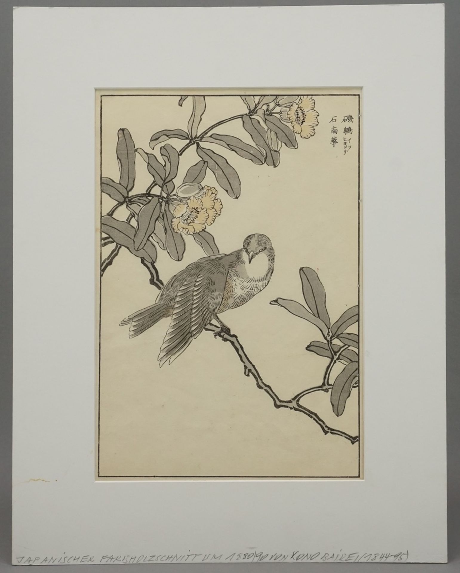 Kono Naotoyo Bairei, Taube auf Ast, Japan, um 1880(1844 - 1895), Farbholzschnitt auf Papier, oben - Image 2 of 3