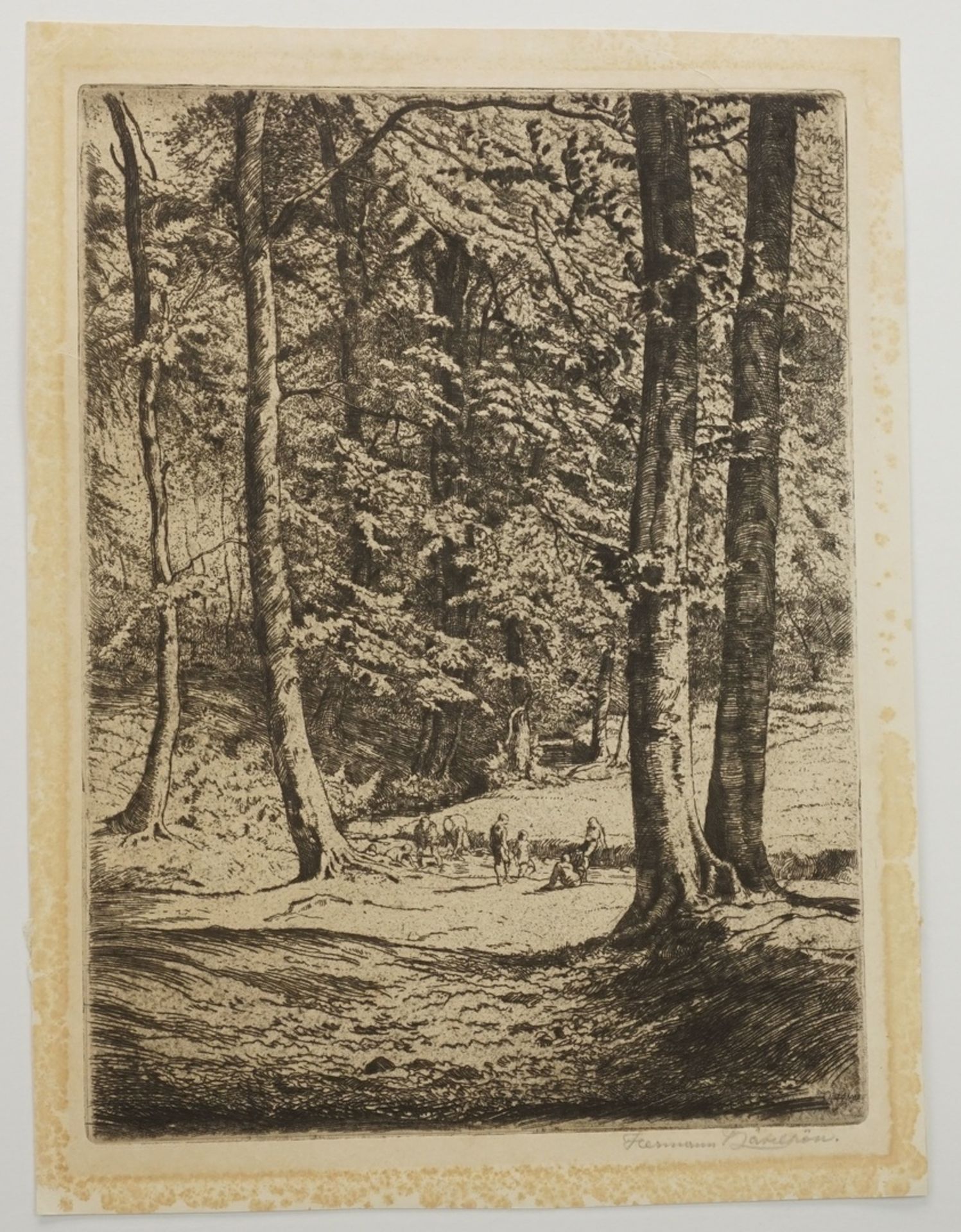 Hermann Kätelhön, "Waldlandschaft"(1884 - 1940), Radierung/Papier, unten rechts im Blatt - Image 3 of 4