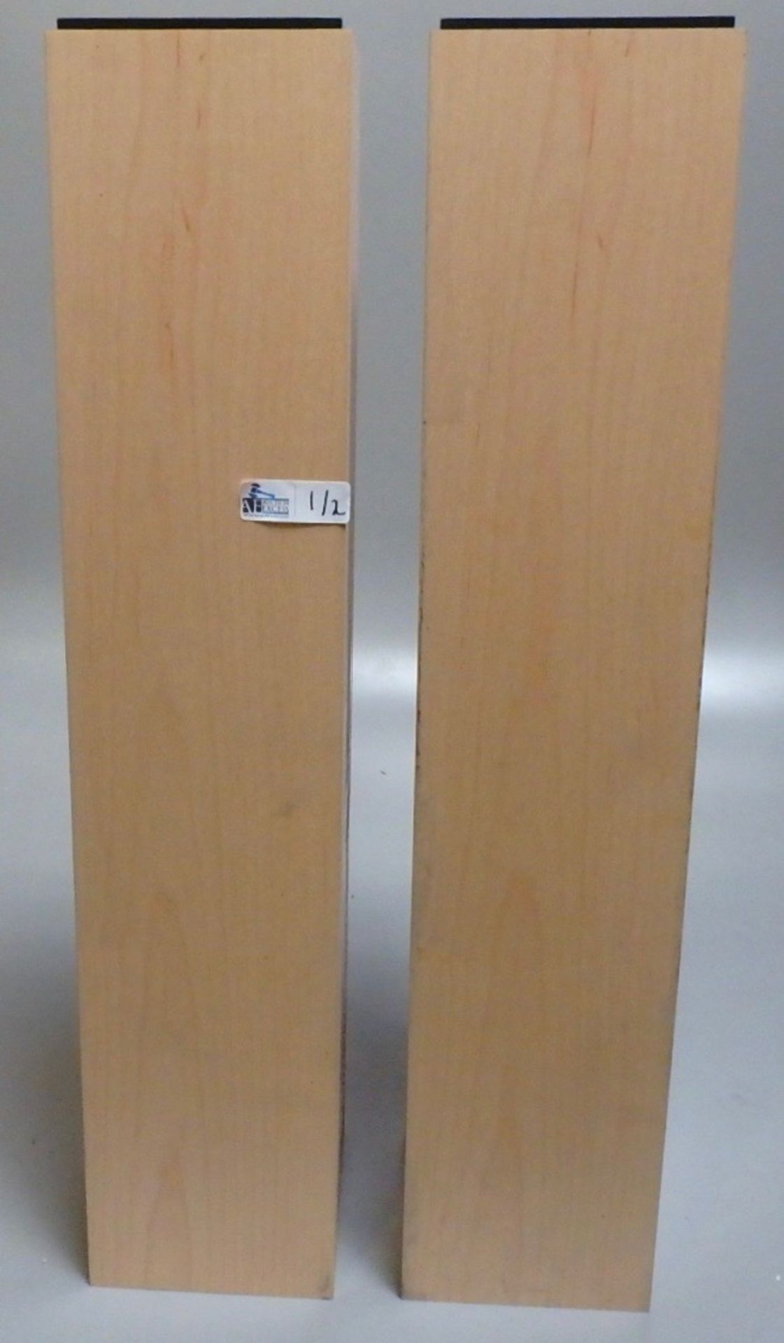 LOT OF 2 SPEAKER STANDS