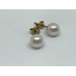 9ct gold cultured pearl stud earrings