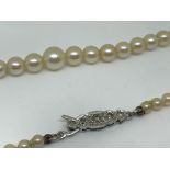 Graduated pearl necklace