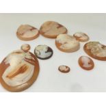 10 assorted cameo shells