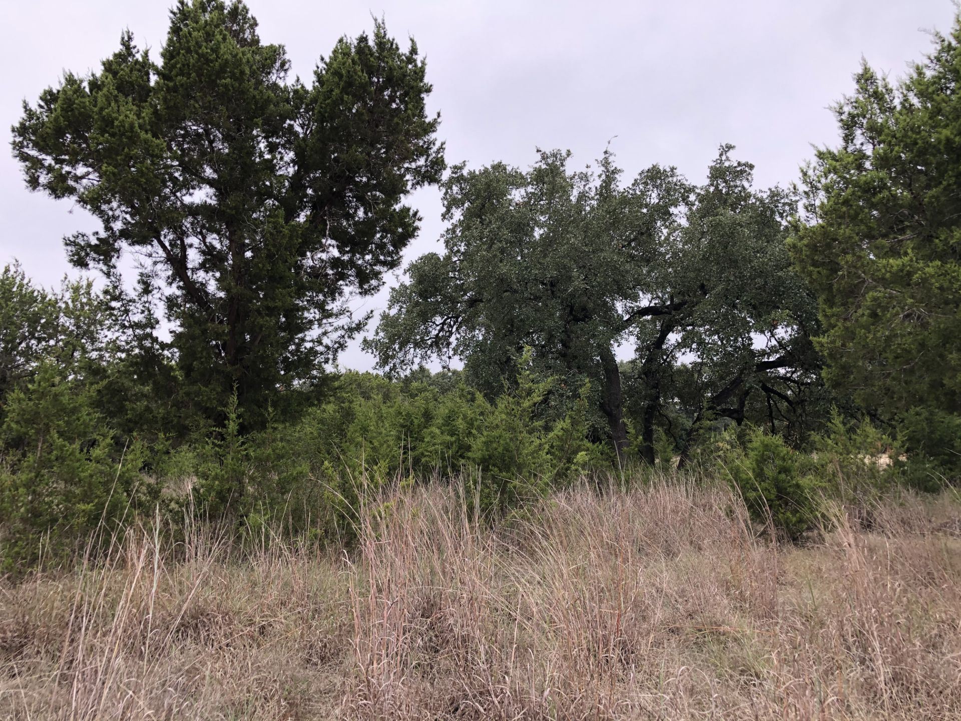 Large Residential Lot in Spicewood - 19805 Flying J - Image 13 of 24