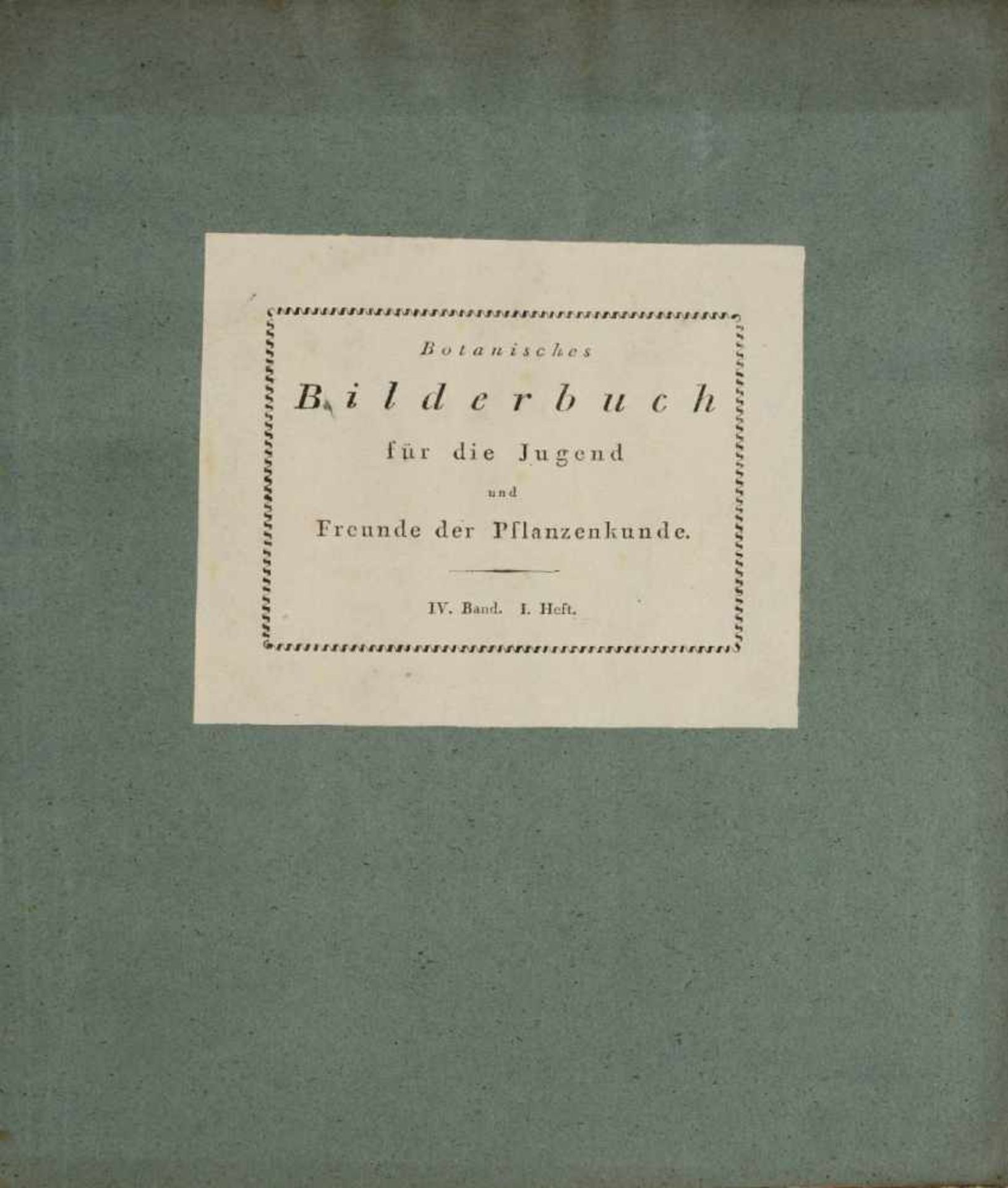 Friedrich Dreves Friedrich Gottlob Hayne (1763-1832) - Bild 10 aus 11