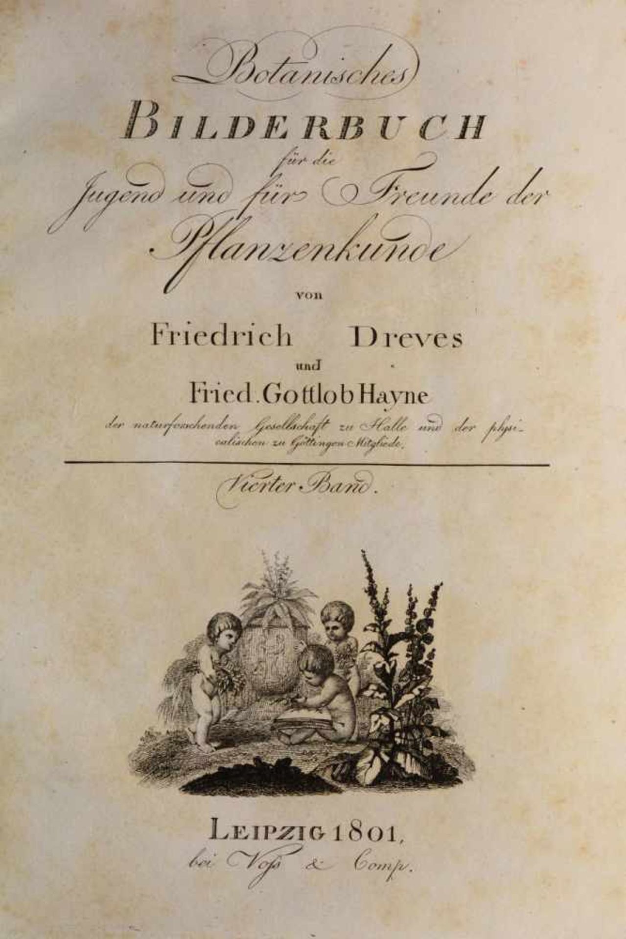 Friedrich Dreves Friedrich Gottlob Hayne (1763-1832) - Bild 11 aus 11