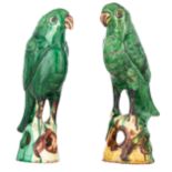 Two Chinese Qianlong type sancai glazed parrots, , H 23 - 24 cm
