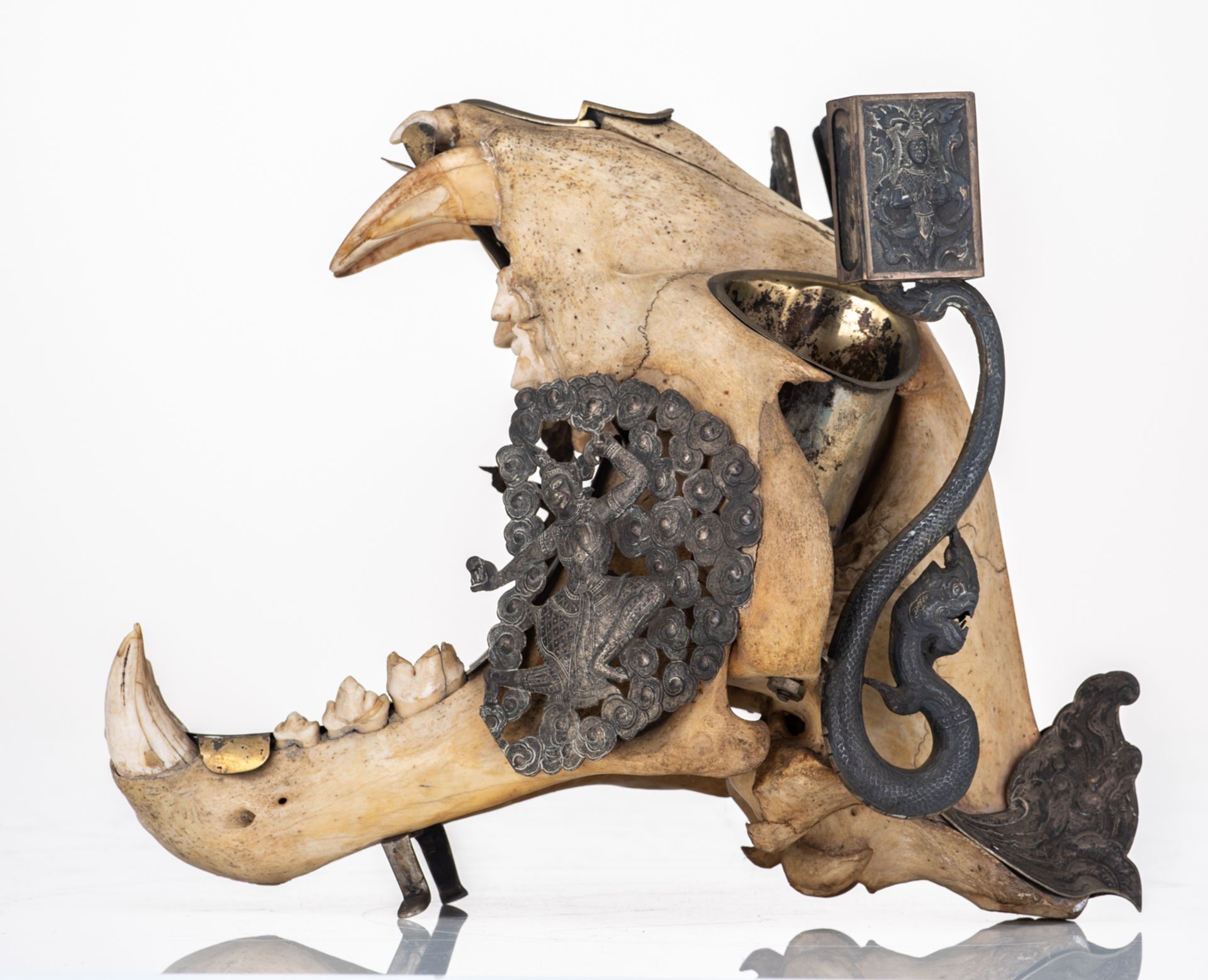 The skull of a Bengal tiger as a bizarre hunting trophy transformed into smokers gear with silver mo - Image 4 of 9