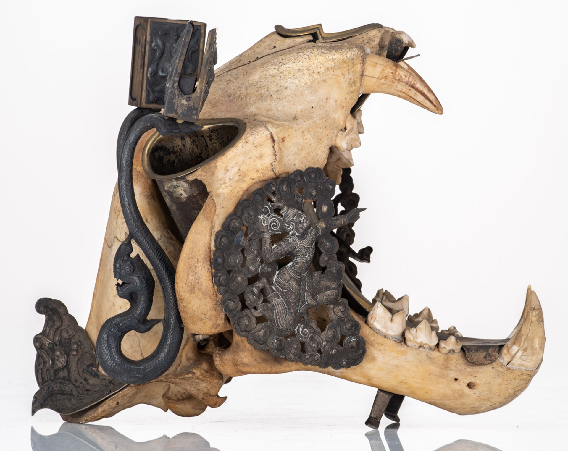 The skull of a Bengal tiger as a bizarre hunting trophy transformed into smokers gear with silver mo - Image 6 of 9