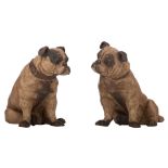 A pair of Austrian cold painted terracotta pug dogs set with glass eyes, H 30,5 - 32,5 cm