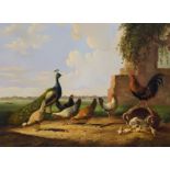 Verhoesen A., farmyard scene with poultry, oil on panel, 38,5 x 51 cm