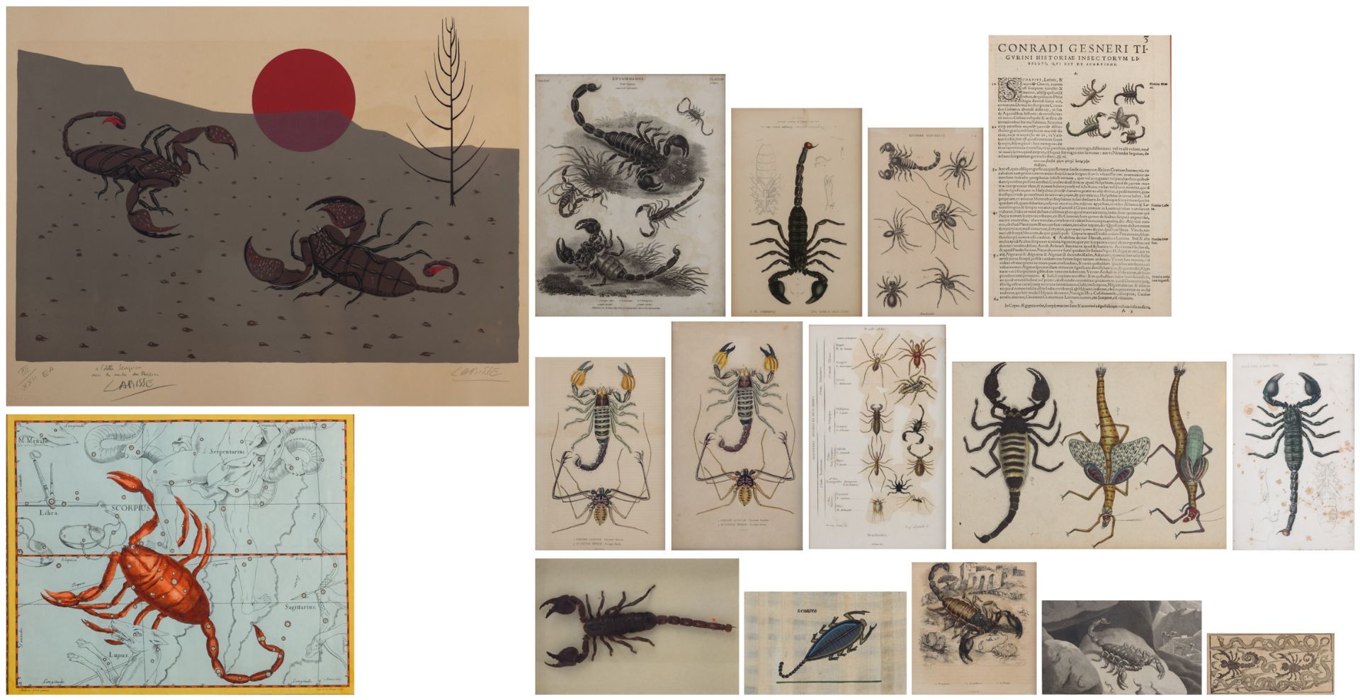 A various collection of scorpion related items, consisting of a stuffed scorpion, a 16thC woodcut,