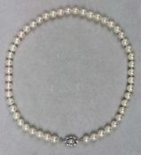 Perlenkette, geknotet, D: ca. 8 mm, L: ca. 45 cm. Verschluß ovalförmig mit zentrierter Perle