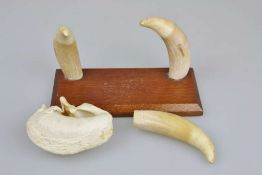 Walfänger-Trophäe, 2 original, unbearbeitete Walzähne montiert auf Holzsockel, dazu eine weiterer